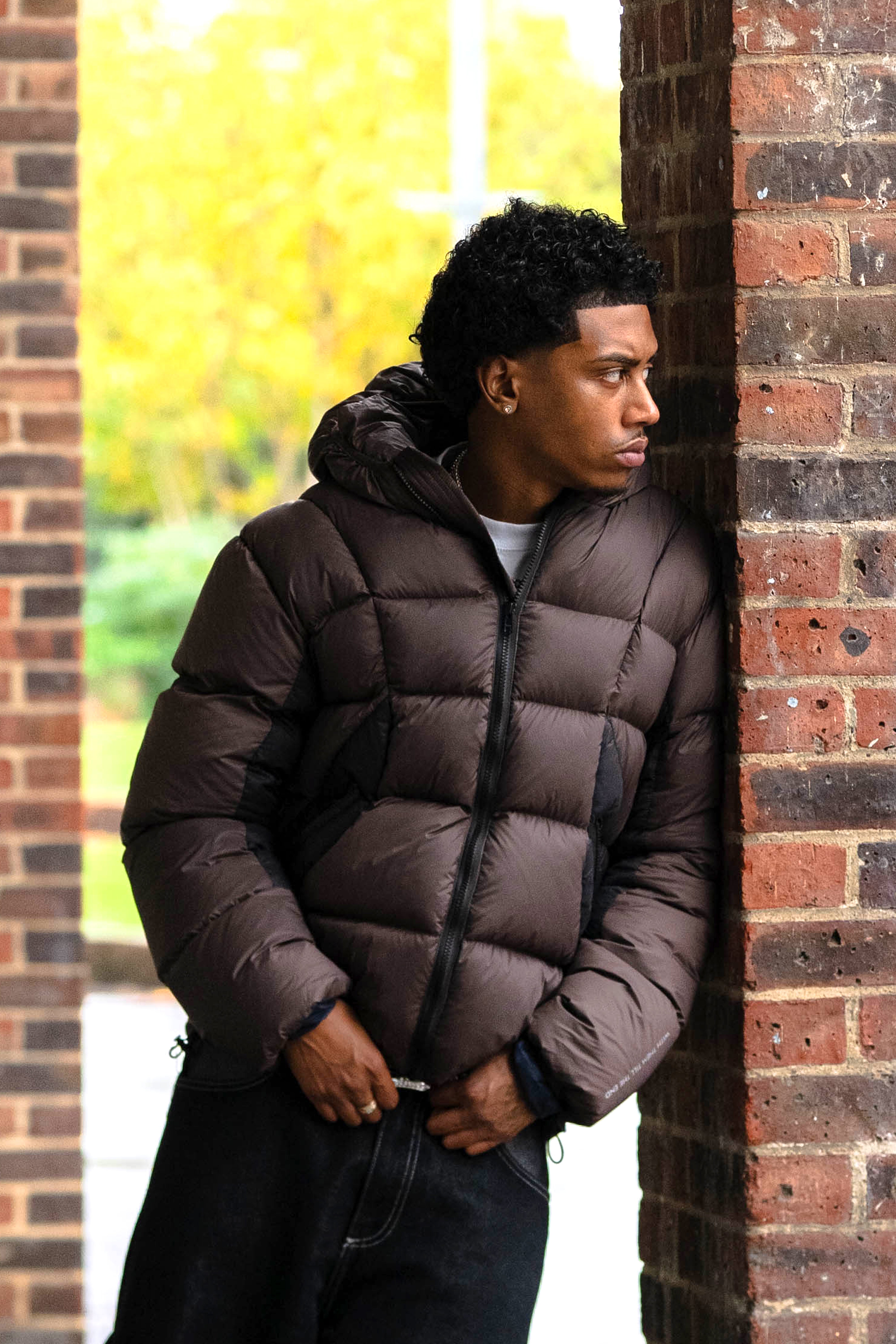 Phantom Down Jacket (Brown/Black)