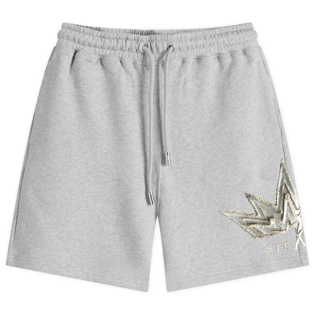 Roam Star Shorts (grey)